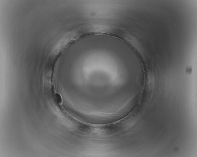 X0000113070585200909182026