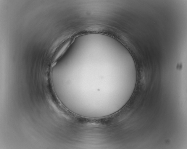 X0000113070586200909182026