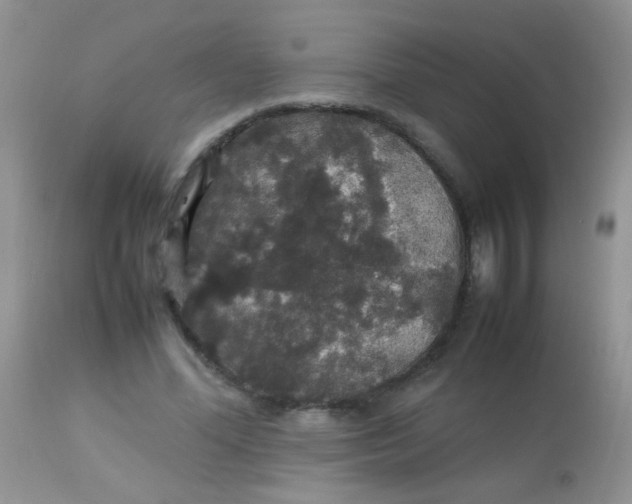 X0000113070588200909182026