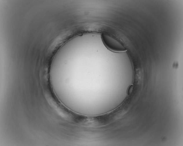 X0000113070589200909182026