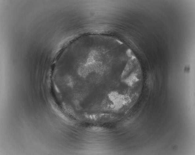 X0000113070590200909182026