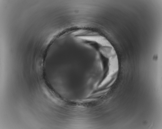 X0000113070592200909182026