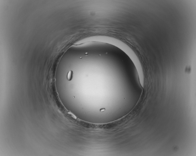 X0000113070593200909182026