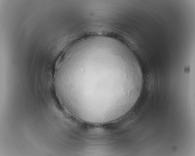 X0000113070594200909182026