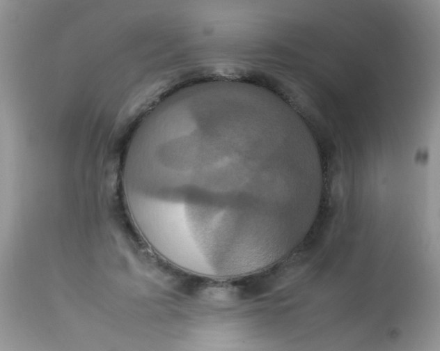 X0000113070595200909182026