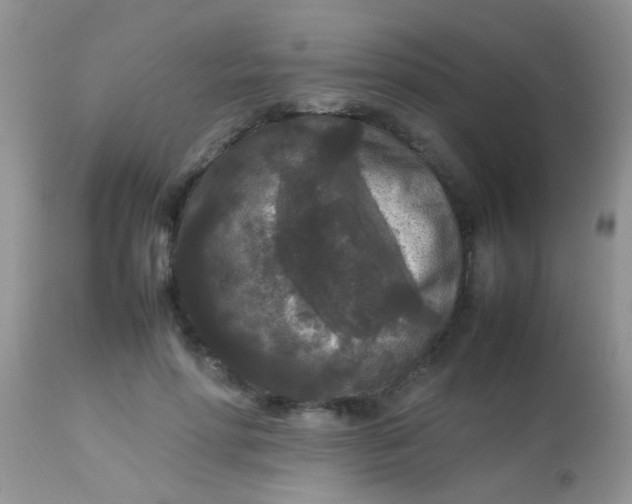 X0000113070598200909182026