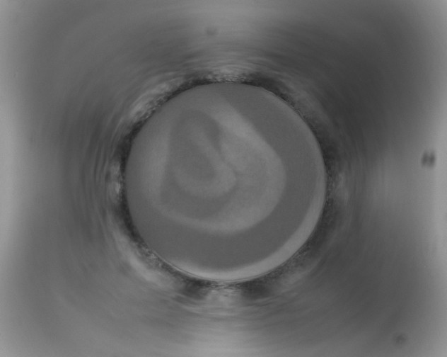 X0000113070599200909182026