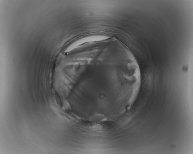 X0000113070600200909182026