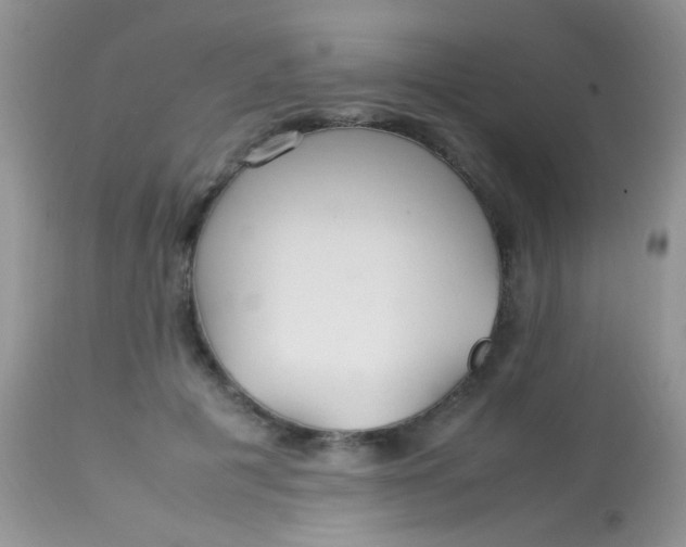 X0000113070601200909182026