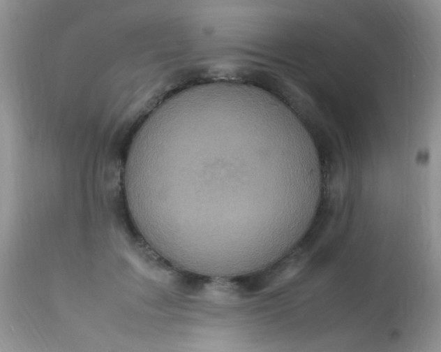 X0000113070603200909182026