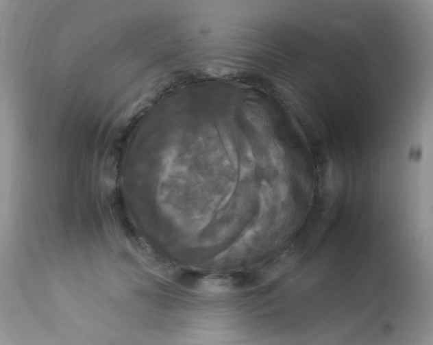 X0000113070606200909182026