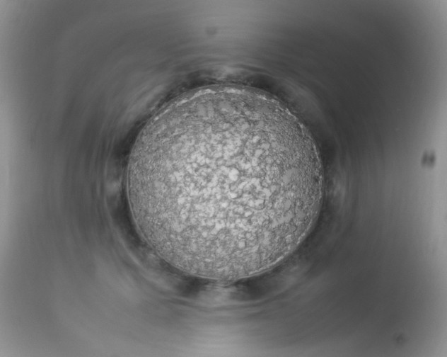 X0000113070607200909182026