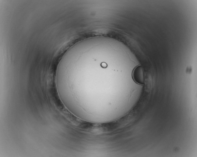 X0000113070608200909182026