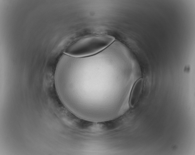 X0000113070609200909182026