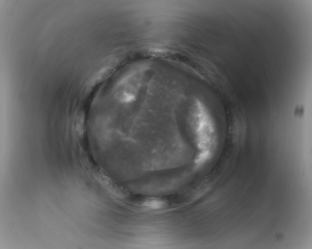 X0000113070610200909182026