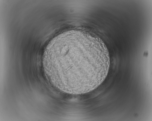 X0000113070612200909182026