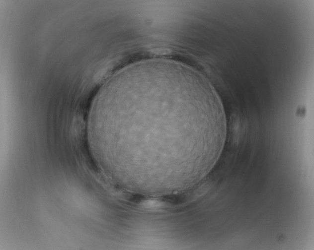 X0000113070614200909182026