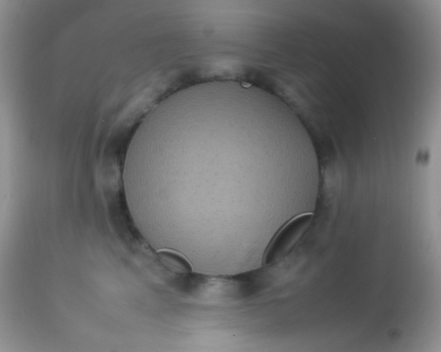 X0000113070617200909182026