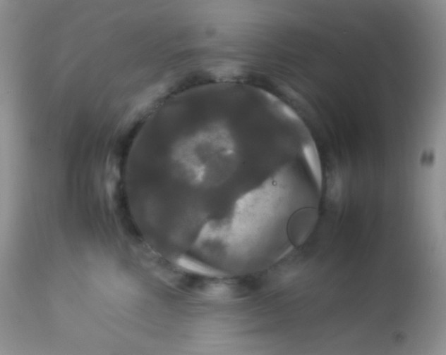 X0000113070618200909182026