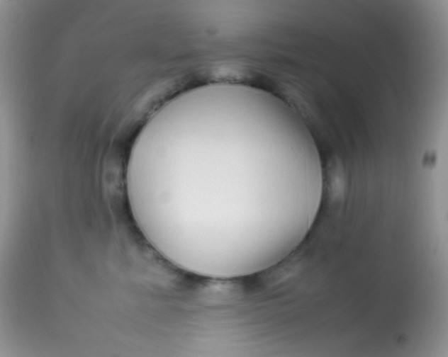 X0000113070619200909182026