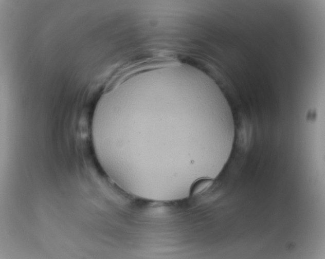 X0000113070620200909182026