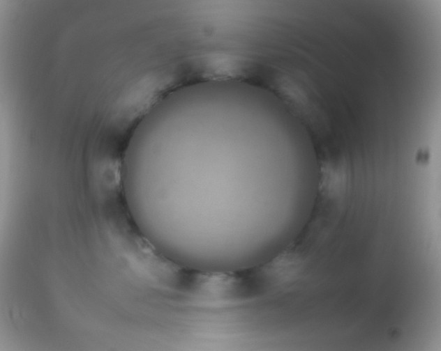 X0000113070621200909182026