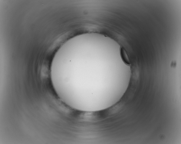 X0000113070622200909182026