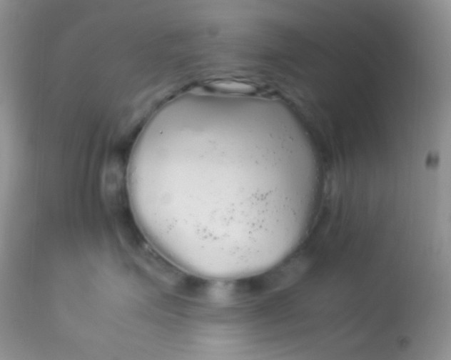 X0000113070623200909182026