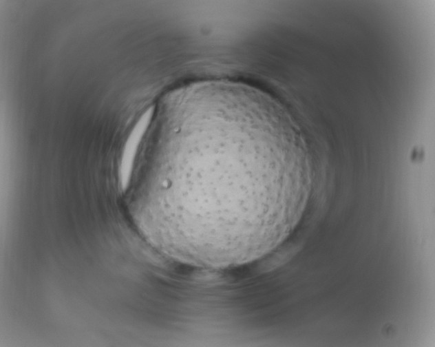 X0000113070624200909182026