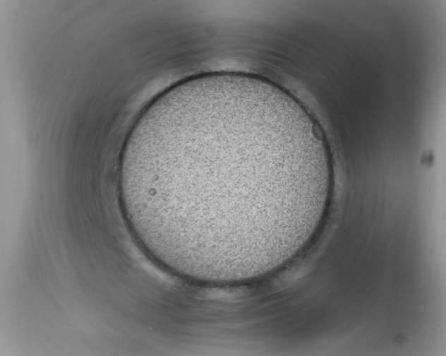 X0000113070625200909182025