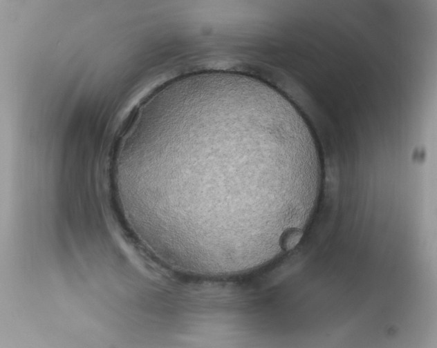 X0000113070626200909182025