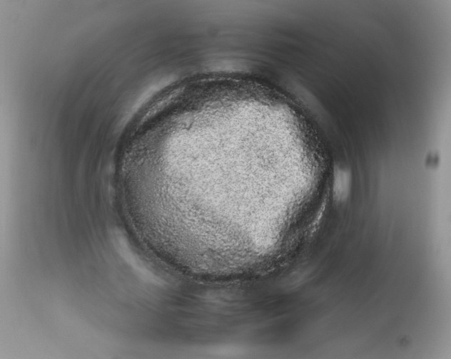 X0000113070627200909182025