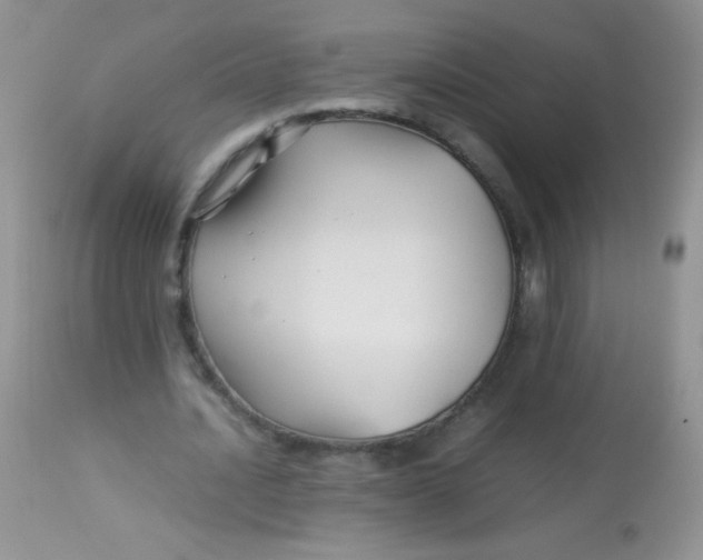 X0000113070628200909182025