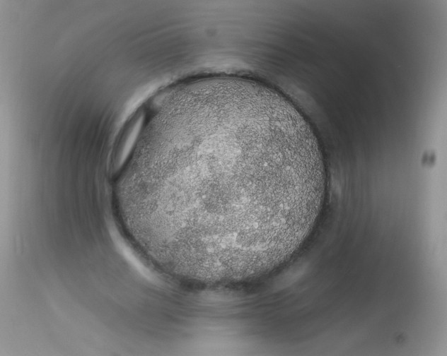 X0000113070630200909182025