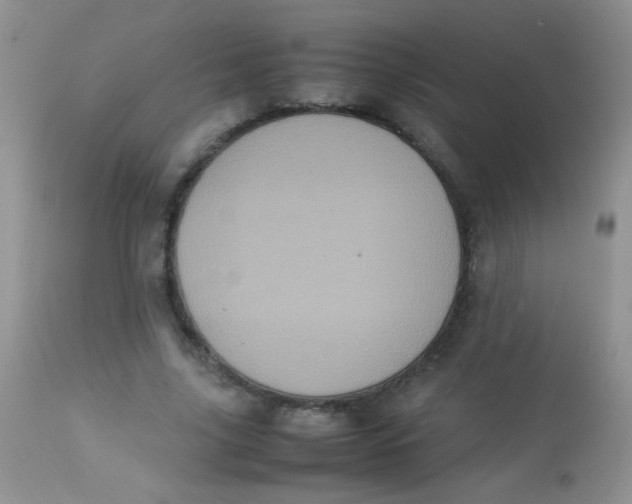 X0000113070635200909182025