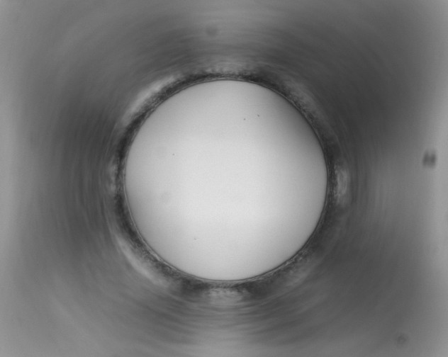 X0000113070636200909182025