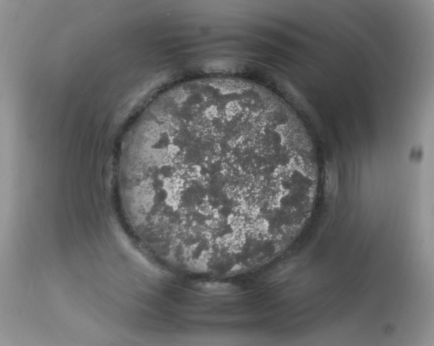 X0000113070637200909182025