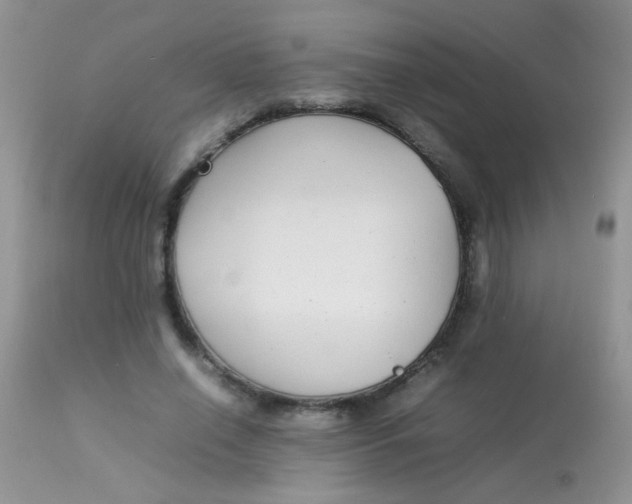 X0000113070638200909182025