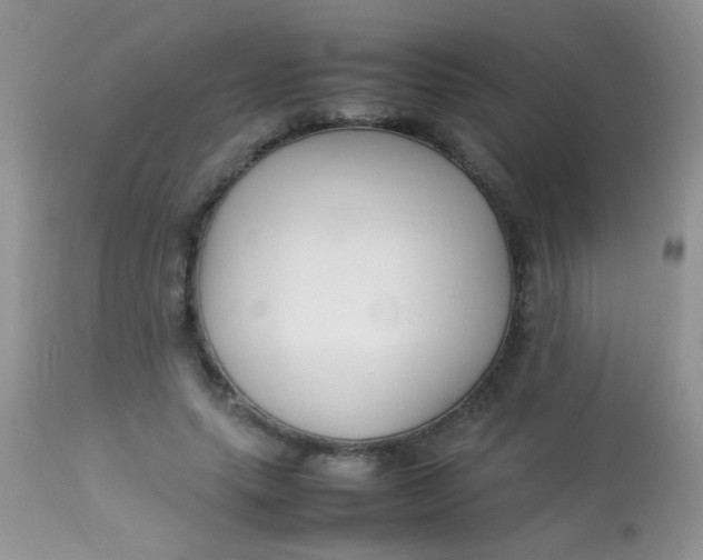 X0000113070639200909182025