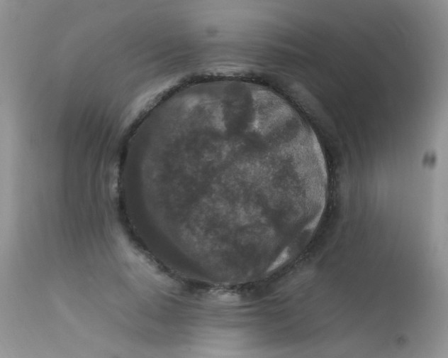 X0000113070640200909182025