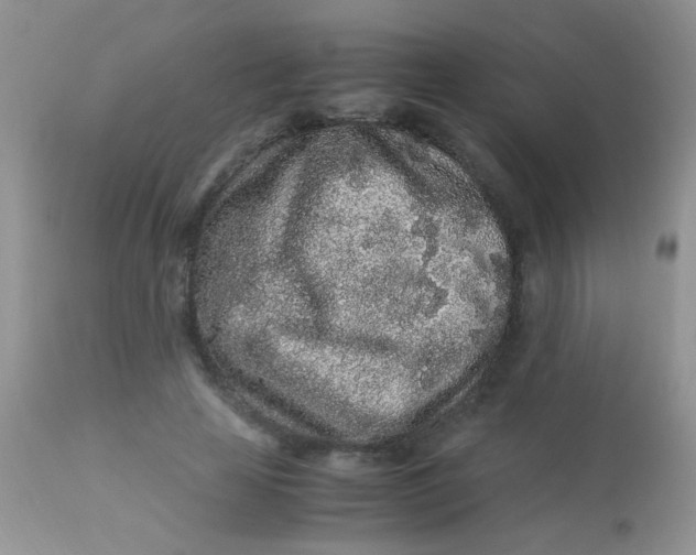 X0000113070641200909182025