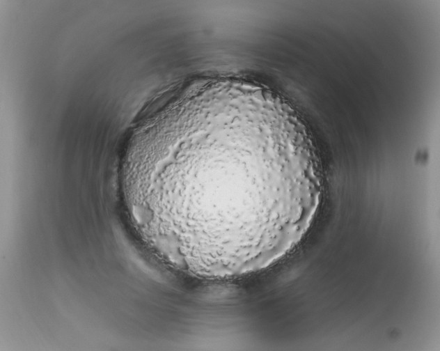 X0000113070642200909182025