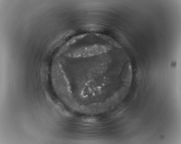 X0000113070643200909182025