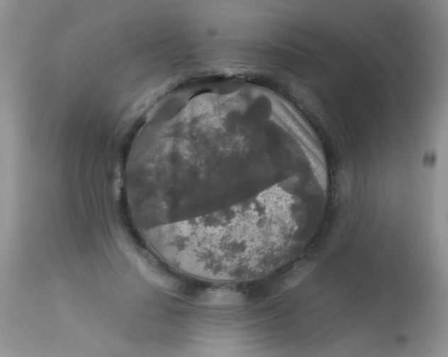 X0000113070644200909182025