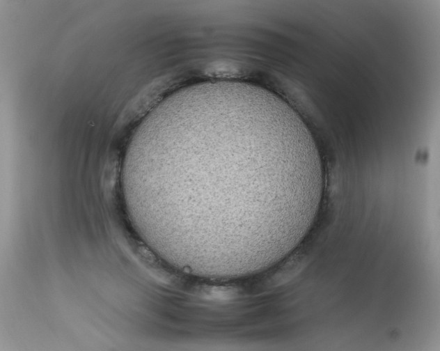 X0000113070645200909182026