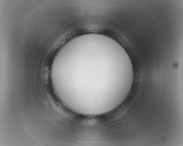 X0000113070646200909182026