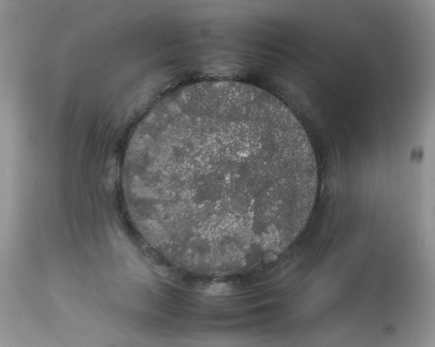 X0000113070647200909182026