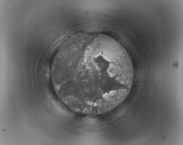 X0000113070648200909182026