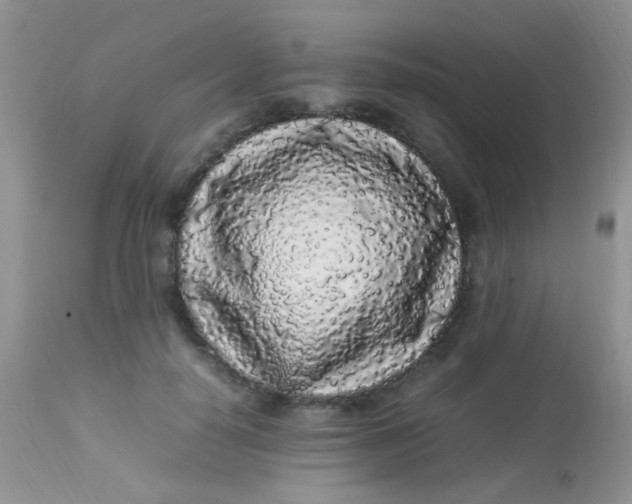 X0000113070650200909182026