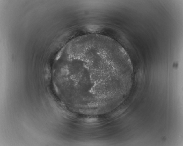 X0000113070651200909182026